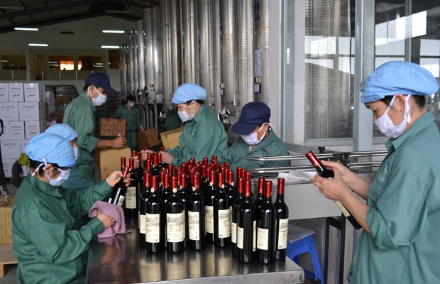 Далатское вино - бренд, несущий вьетнамские ценности - ảnh 3
